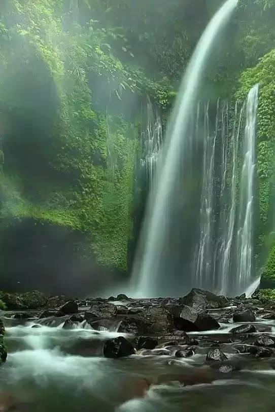 苏菲亚安伯时装秀