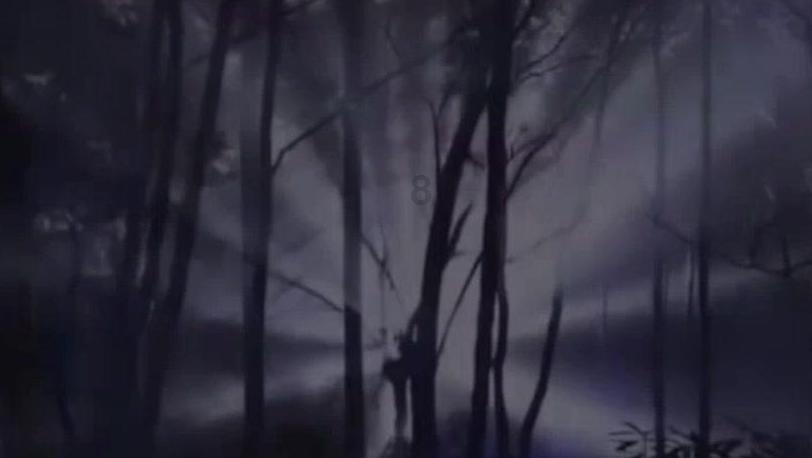无人之境