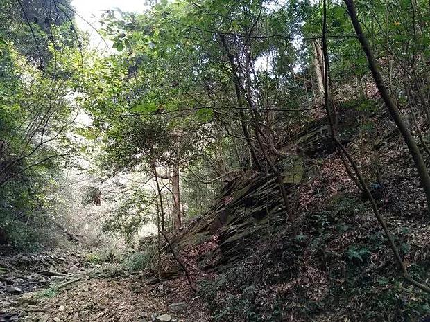 研究显示2050年阿尔卑斯冰川将至少减少34%
