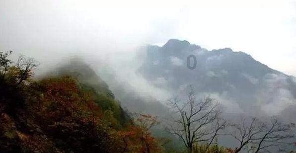 周天勇：解释货币流去哪了和展望货币还能流动到哪