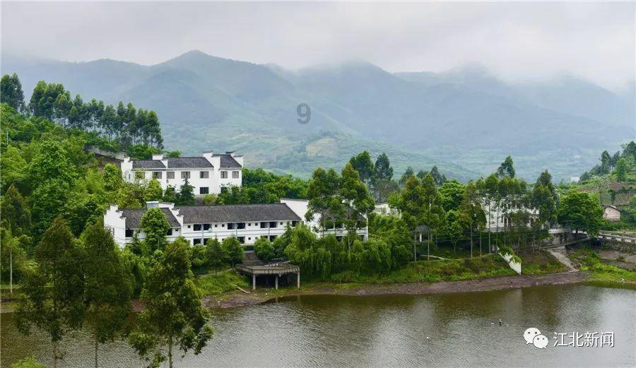 卢氏县扎实部署新型工业化暨重点产业链培育工作