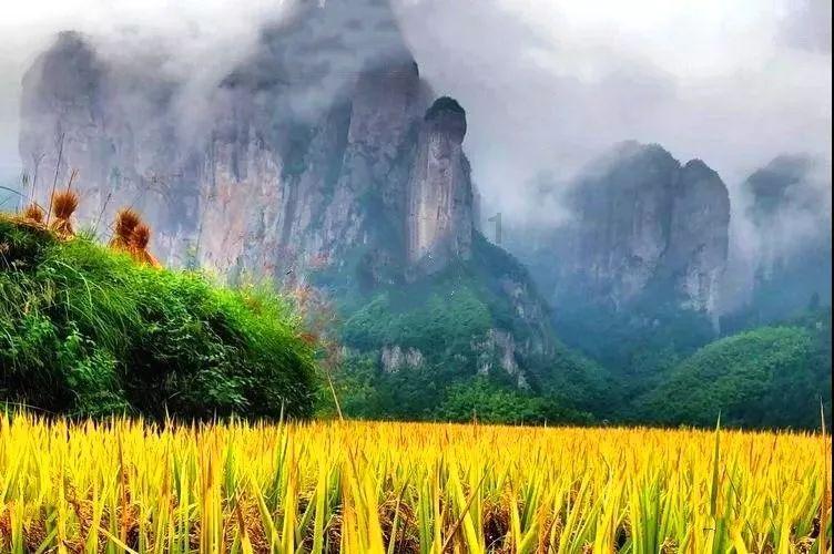明朝移民简史