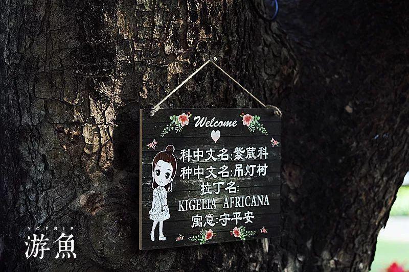男孩部落营救