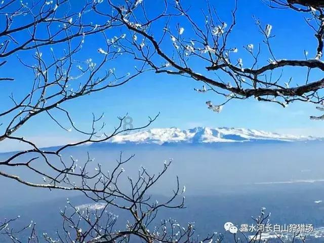 吉地过年 食尚延边｜预计发送旅客128万 乘高铁来延边冰雪游有优惠