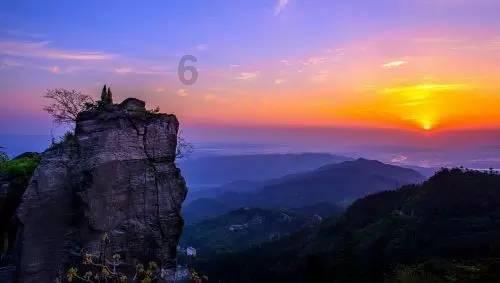 动物帮帮忙保卫家园