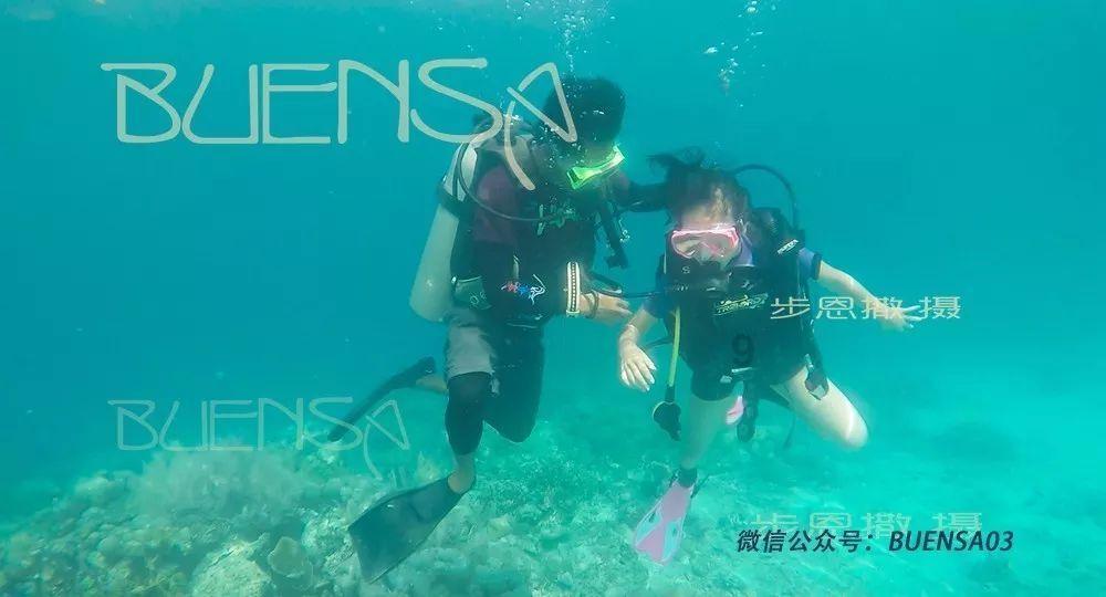 史上最贱小游戏之TV秀