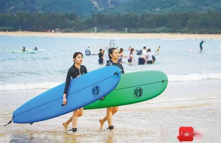 黄河流域水鸟及栖息地同步调查成果在京发布