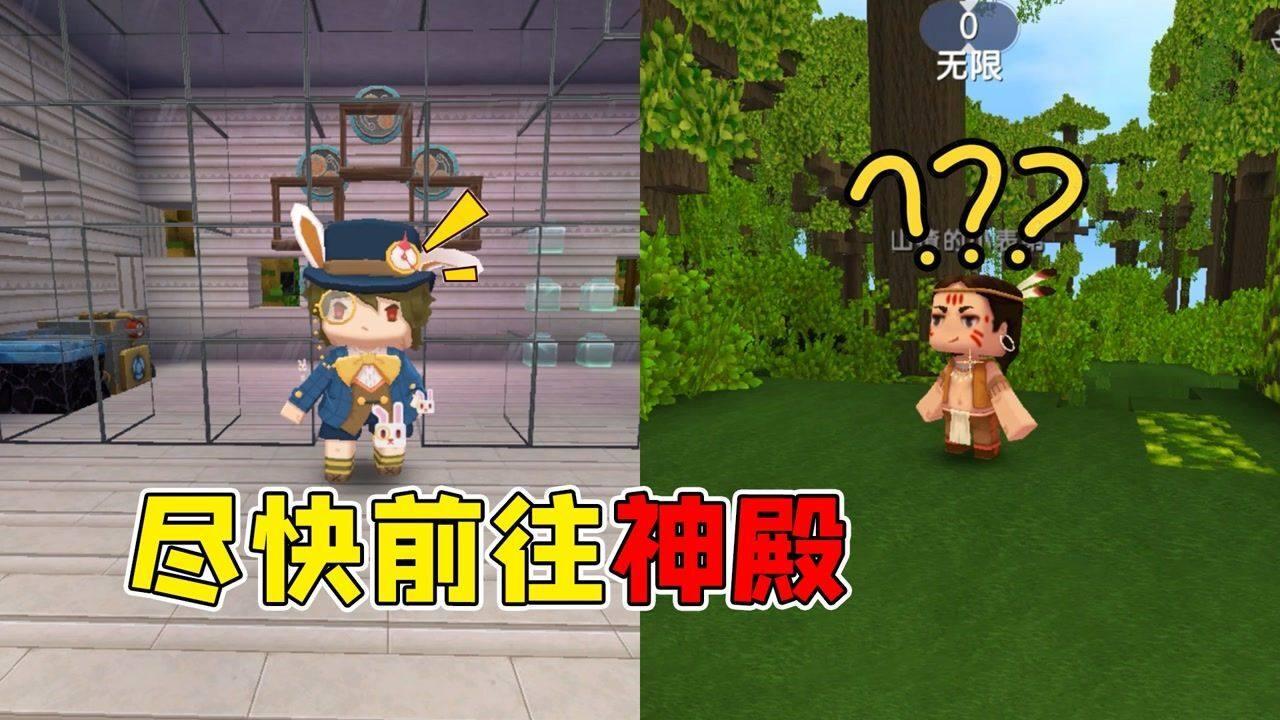可爱小猫的发廊