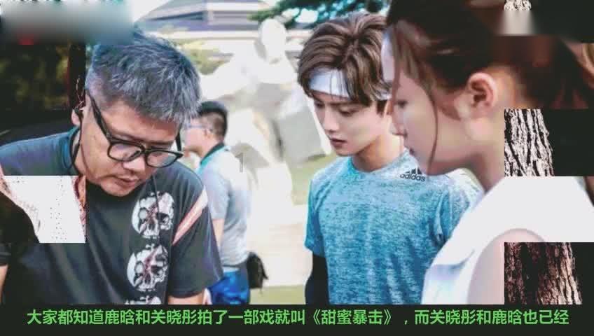 动物帮帮忙保卫家园