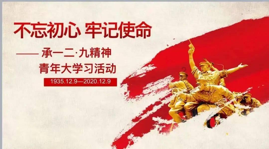 金牌保镖熊先生