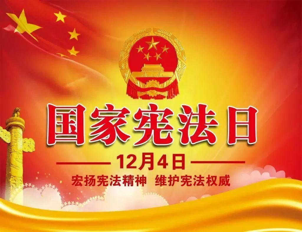 救援海盗章鱼