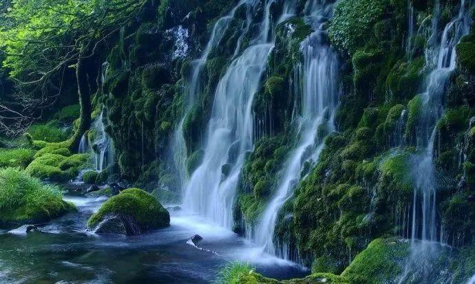 探索蜻蜓点水,加入知识星球平台