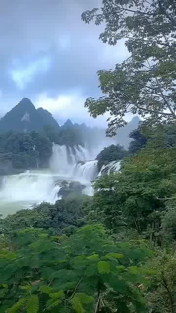 荣誉勋章