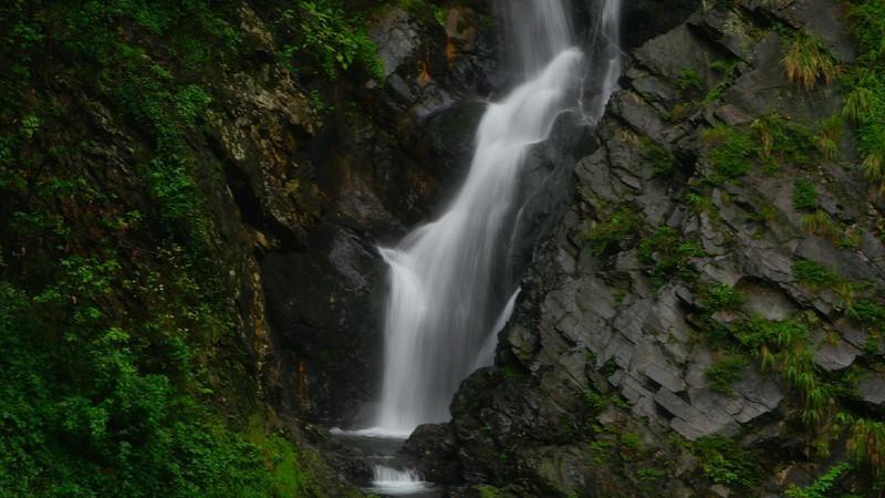 沪江开心词场