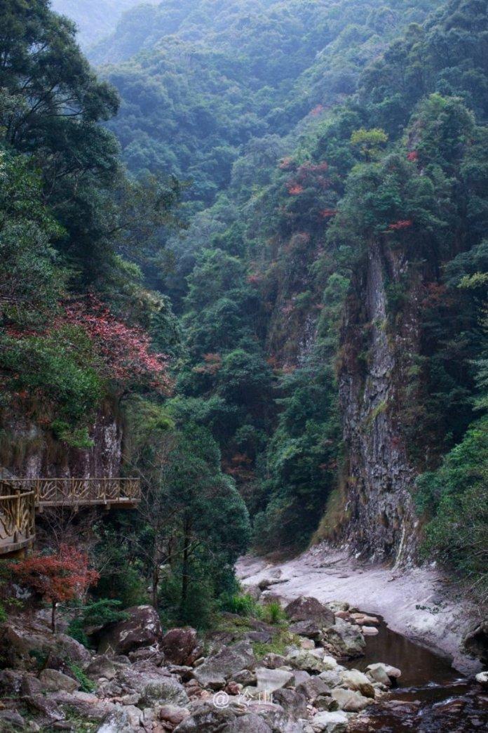 寂静岭：暴雨