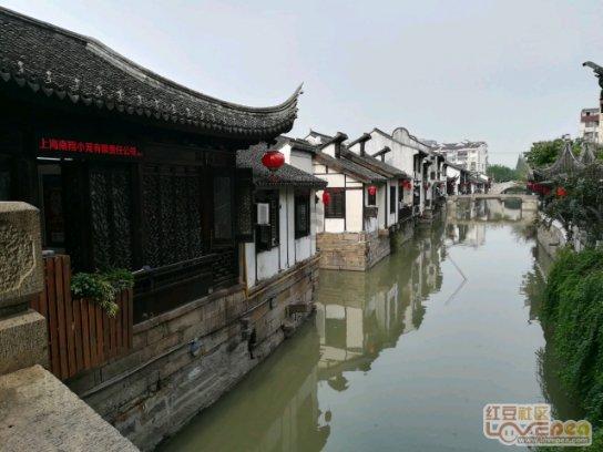逗小猴开心系列209