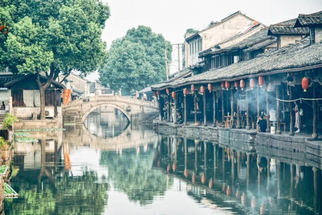 救援可爱的洋葱