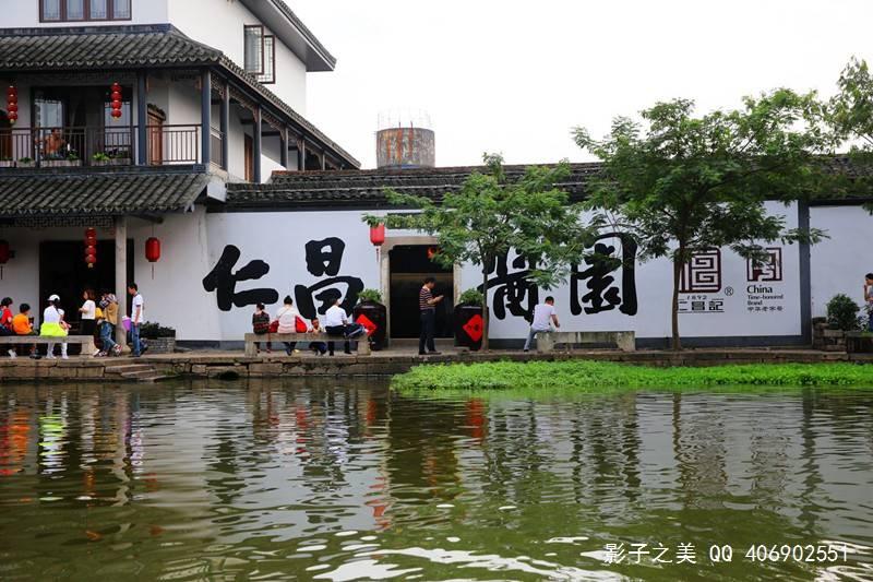 金毛多少钱一只？游戏画面
