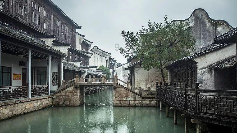 盐津“订单蔬菜”为乡村振兴添动力