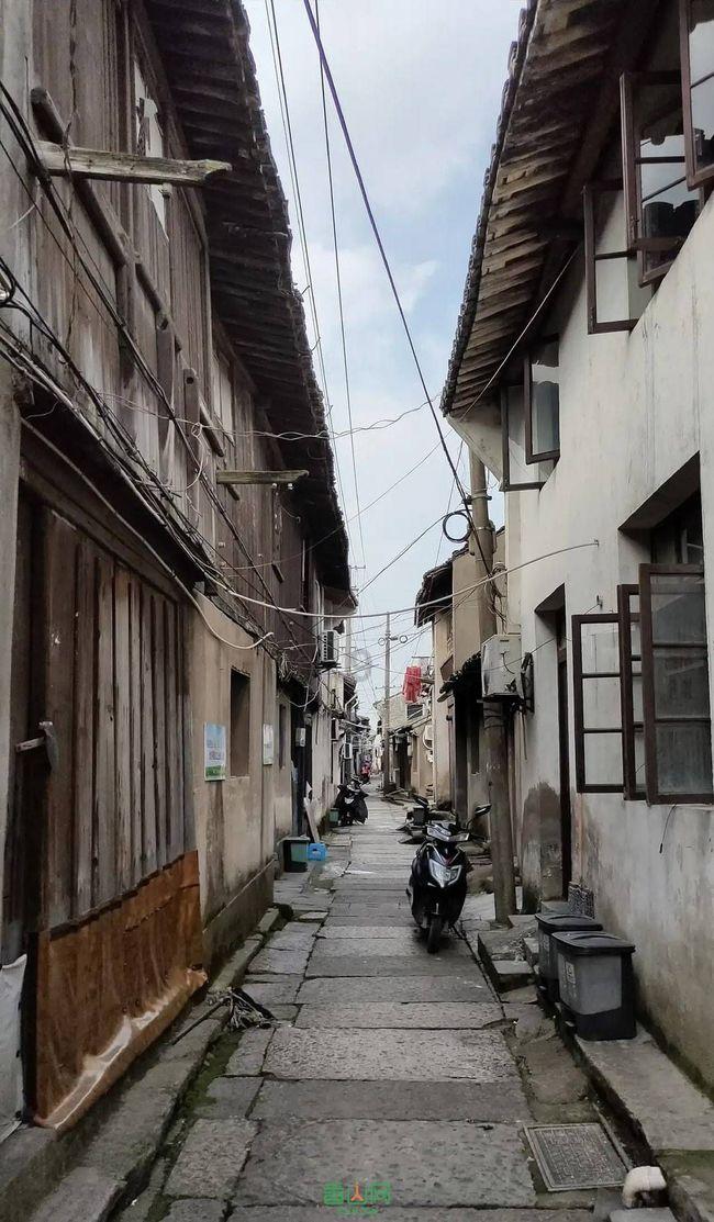 时尚小鸡救援